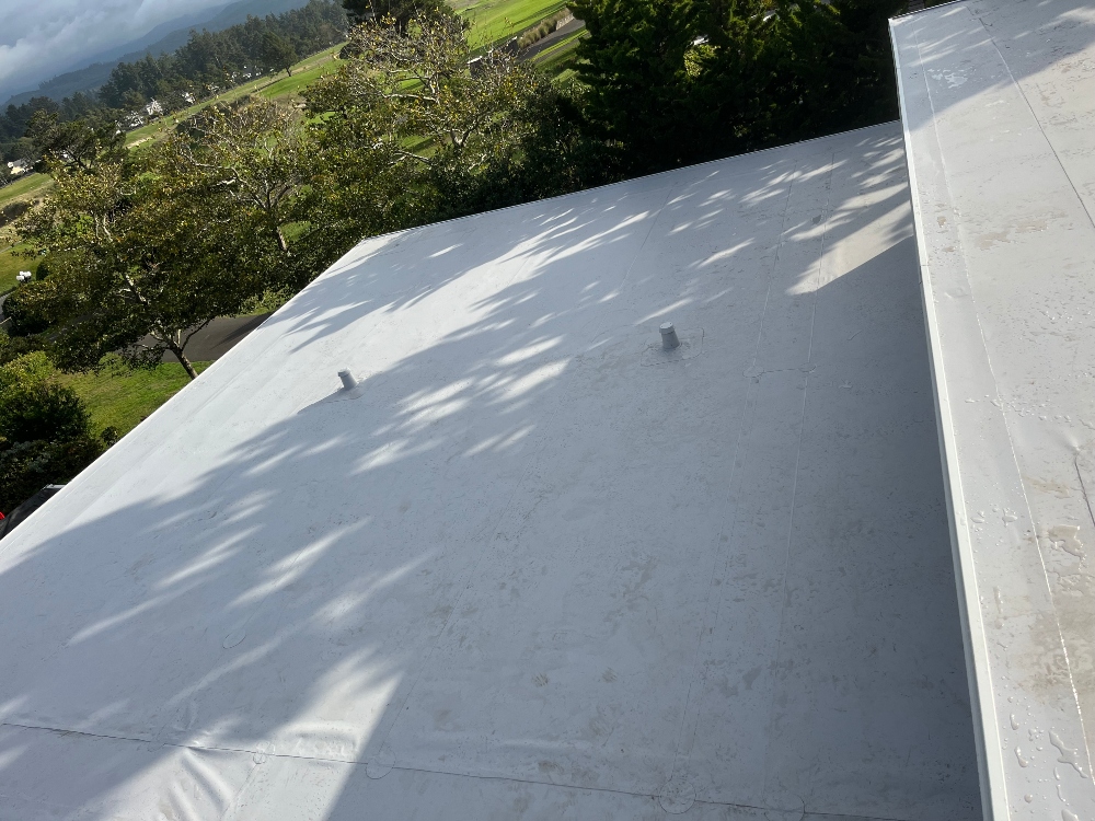 Eco-Friendly and Sustainable Roofing