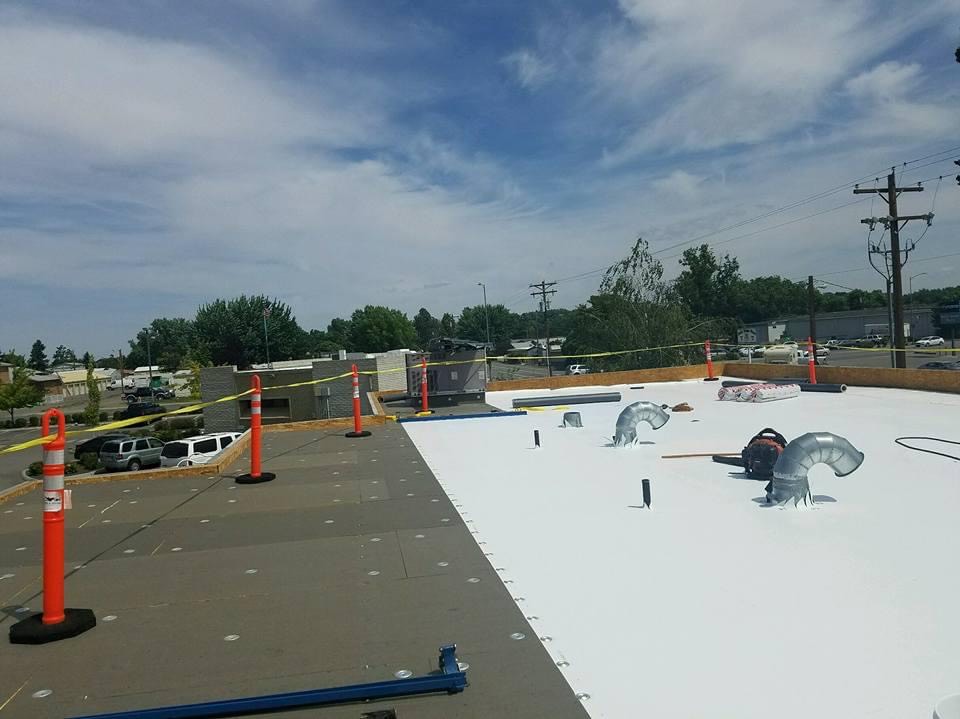 TPO Roofing Services